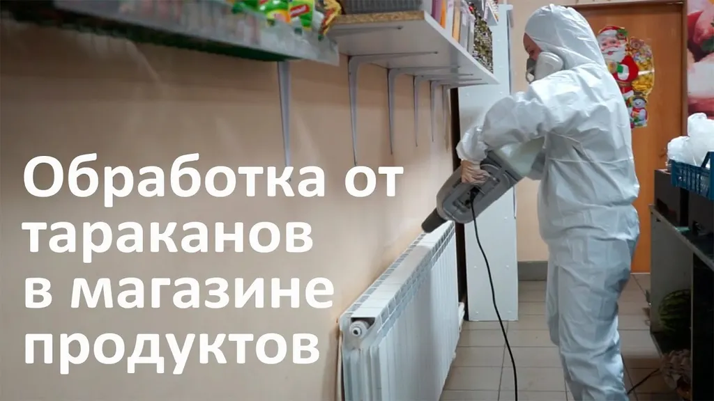Секреты успешной травли тараканов в квартире в Москве, которые вас поразят и спасут дом от вредителей